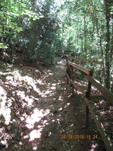 2GT 2016, 2 часть 743.JPG