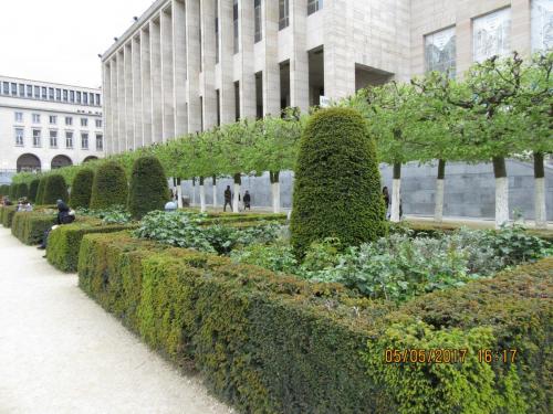 Нов. Ароматы 2 111.JPG