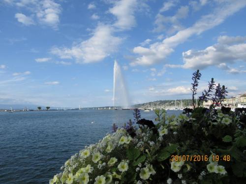 2GT 1 часть2016 106.JPG