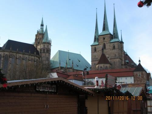 Божоле 2016 2382.JPG