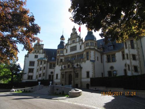 Ароматы 2 (2017) 2083.JPG