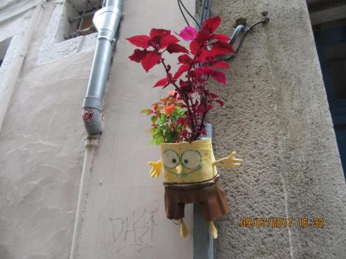 2 AS, 1 часть 1168.JPG