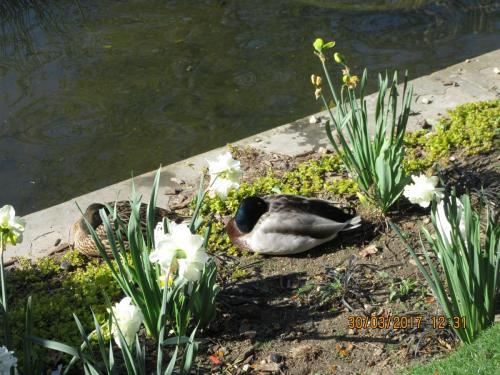 март, париж 1505.JPG