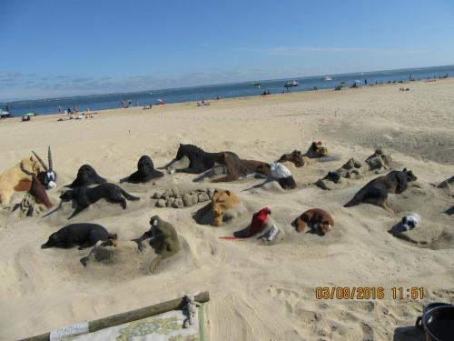 2GT 1 часть2016 1645.JPG