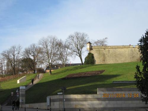 Божоле 2016 2394.JPG