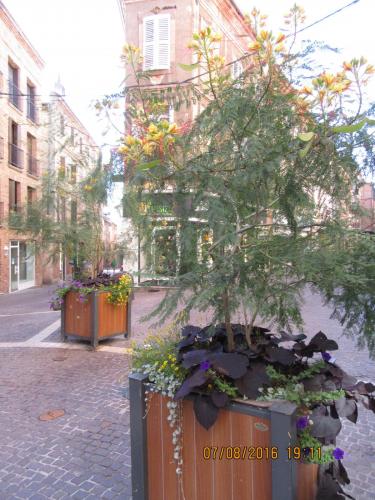 2GT 2016, 2 часть 422.JPG