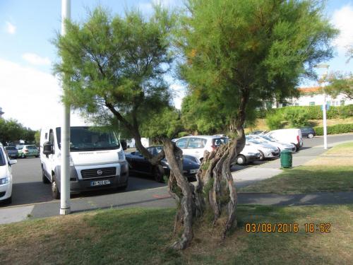 2GT 1 часть2016 1746.JPG