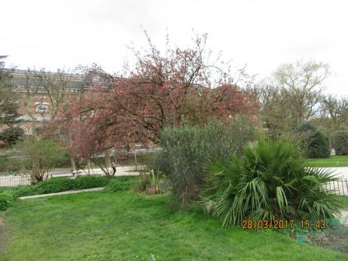 март, париж 1011.JPG