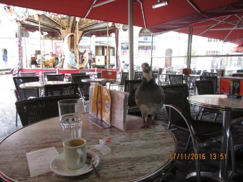 Божоле 2016 1381.JPG