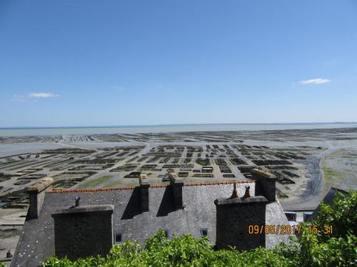 Нов. Ароматы 2 1884.JPG