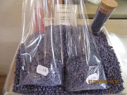 2GT 2016, 2 часть 251.JPG