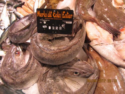 Нов. Ароматы 2 798.JPG