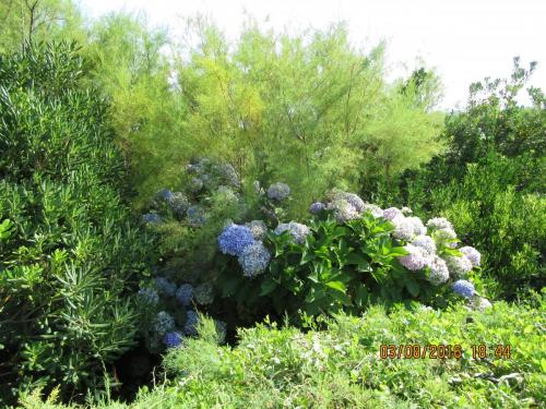 2GT 1 часть2016 1729.JPG