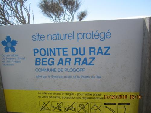 Ароматы, 11.04.2016 1118.JPG