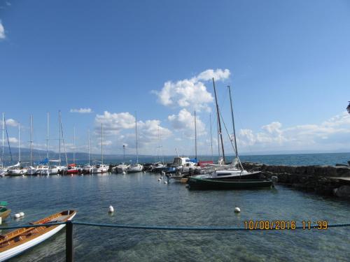 2GT 2016, 2 часть 1134.JPG