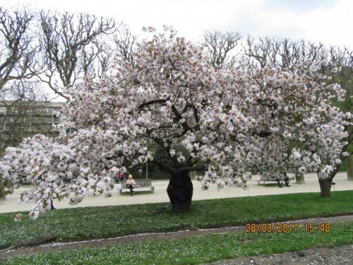 март, париж 1022.JPG