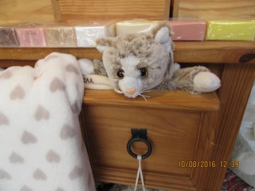 2GT 2016, 2 часть 1183.JPG