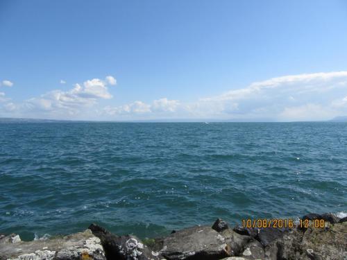 2GT 2016, 2 часть 1160.JPG