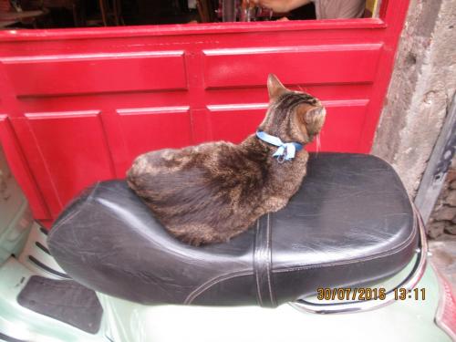 2GT 1 часть2016 553.JPG