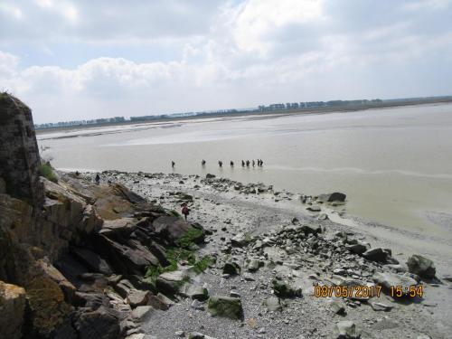 Нов. Ароматы 2 1476.JPG