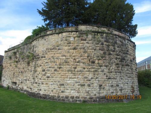 Ароматы 2 (2017) 1707.JPG