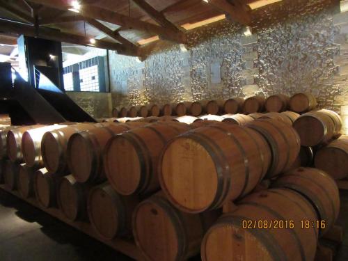 2GT 1 часть2016 1478.JPG