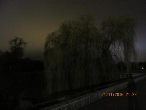 Божоле 2016 2607.JPG