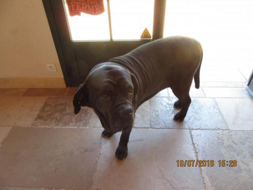 Великолепная Франция 2016 1414.JPG