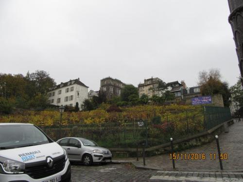 Божоле 2016 448.JPG