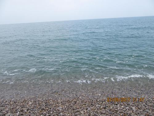 Нов. Ароматы 2 984.JPG