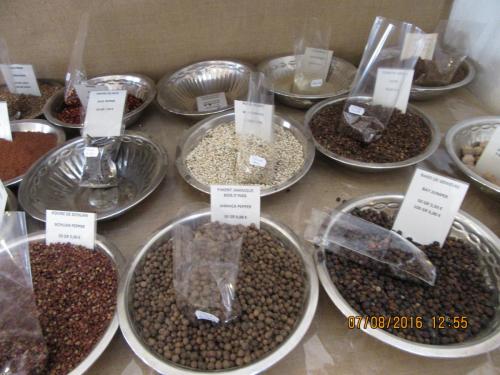 2GT 2016, 2 часть 242.JPG