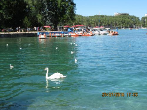 2GT 1 часть2016 375.JPG