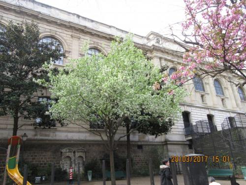 март, париж 962.JPG