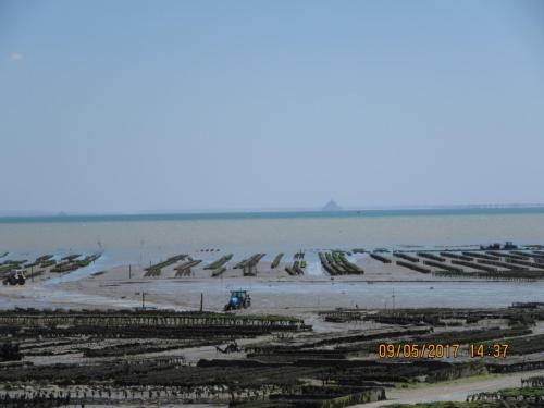 Нов. Ароматы 2 1861.JPG