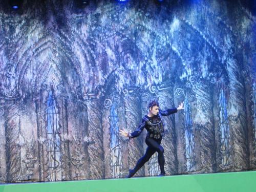 Лебединое озеро 047.JPG