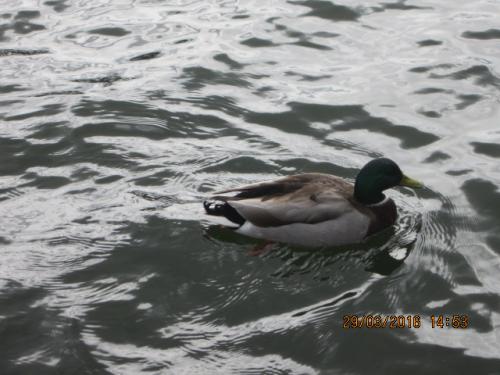 Париж март 2016 268.JPG