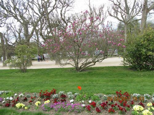 март, париж 1037.JPG