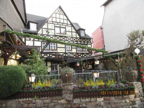 Божоле 2016 2214.JPG