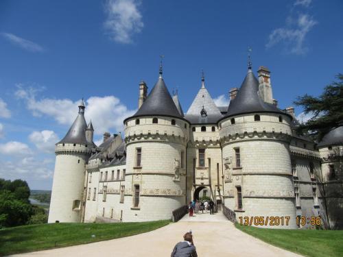 Ароматы 2 (2017) 939.JPG