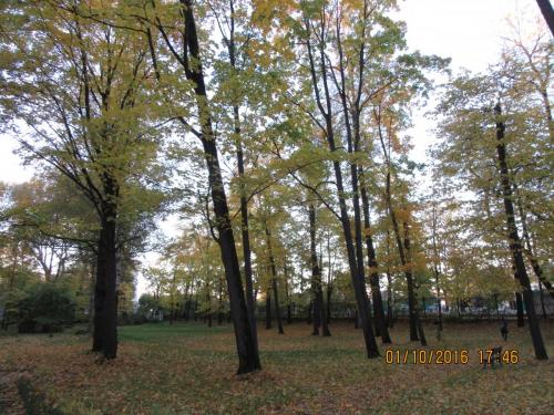 День музыки 009.JPG