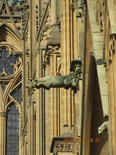 Ароматы 2 (2017) 2121.JPG