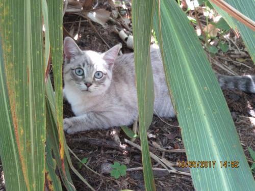 Нов. Ароматы 2 2198.JPG