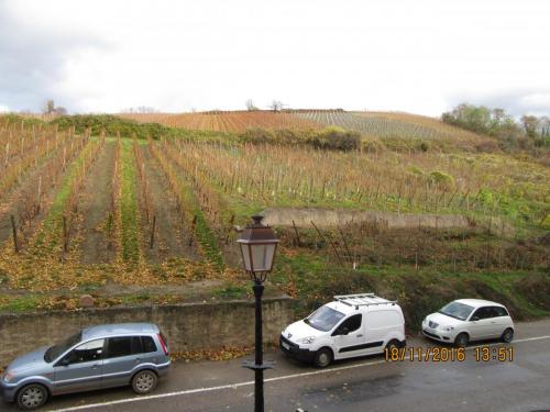 Божоле 2016 1763.JPG