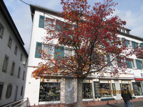 Божоле 2016 2251.JPG