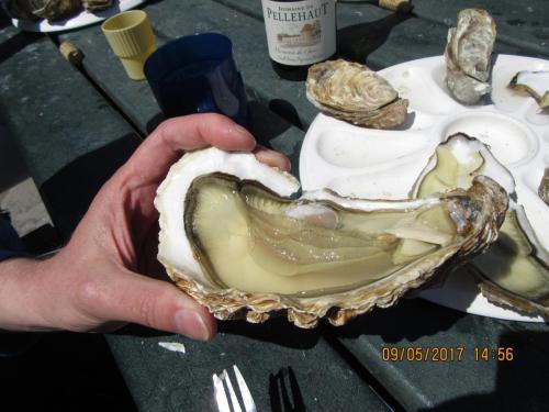 Нов. Ароматы 2 1870.JPG