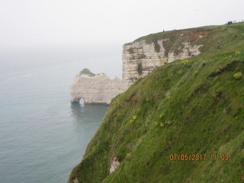 Нов. Ароматы 2 911.JPG