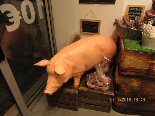 Божоле 2016 1983.JPG