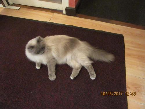 Нов. Ароматы 2 2139.JPG