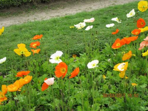 март, париж 1031.JPG