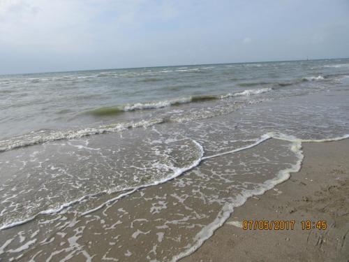 Нов. Ароматы 2 1156.JPG